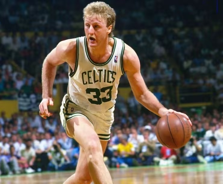 青岛队在篮 青岛队在篮