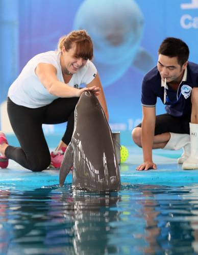 常有意义的 常有意义的