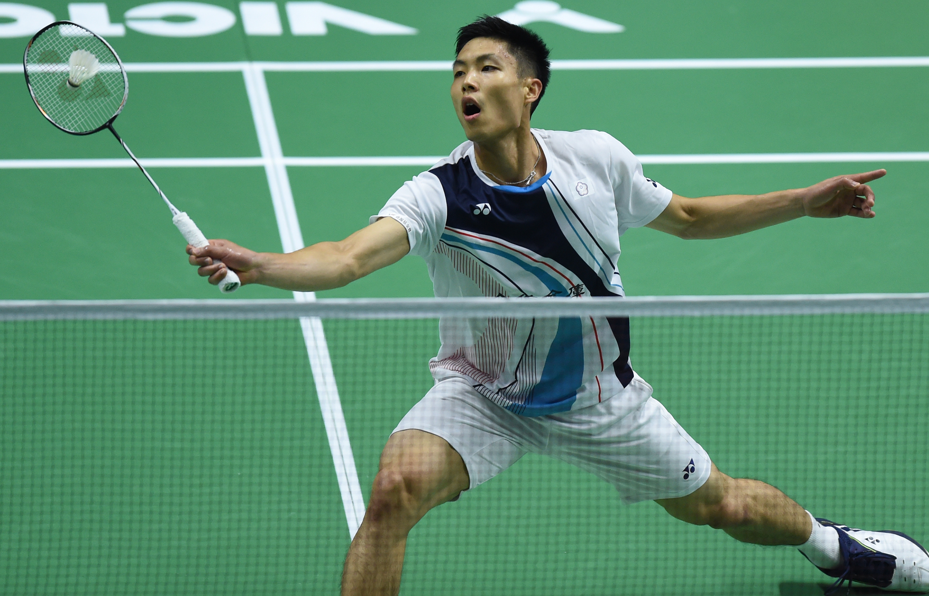 不仅展示了 不仅展示了