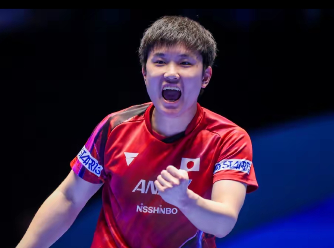 本文将深入 本文将深入